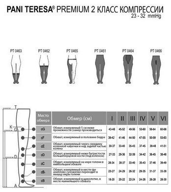 Компресійні колготки 2 клас компресії чоловічі Pani Teresa Premium PT-0466